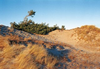 D&uuml;nenlandschaft bei Klein Schm&ouml;len // &copy; MV-T/Neumann