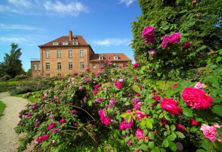 Gottiner Rosenpark mit über 2.000 Rosen in mehr als 200 Sorten // © Gutshaus Gottin Gottiner Rosenpark mit über 2.000 Rosen in mehr als 200 Sorten // © Gutshaus Gottin