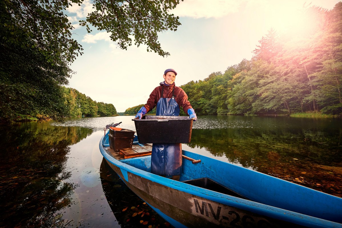 © TMV pocha.de © TMV pocha.de