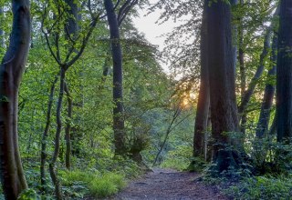 © Kurverwaltung Goehren / Martin Stoever © Kurverwaltung Goehren / Martin Stoever
