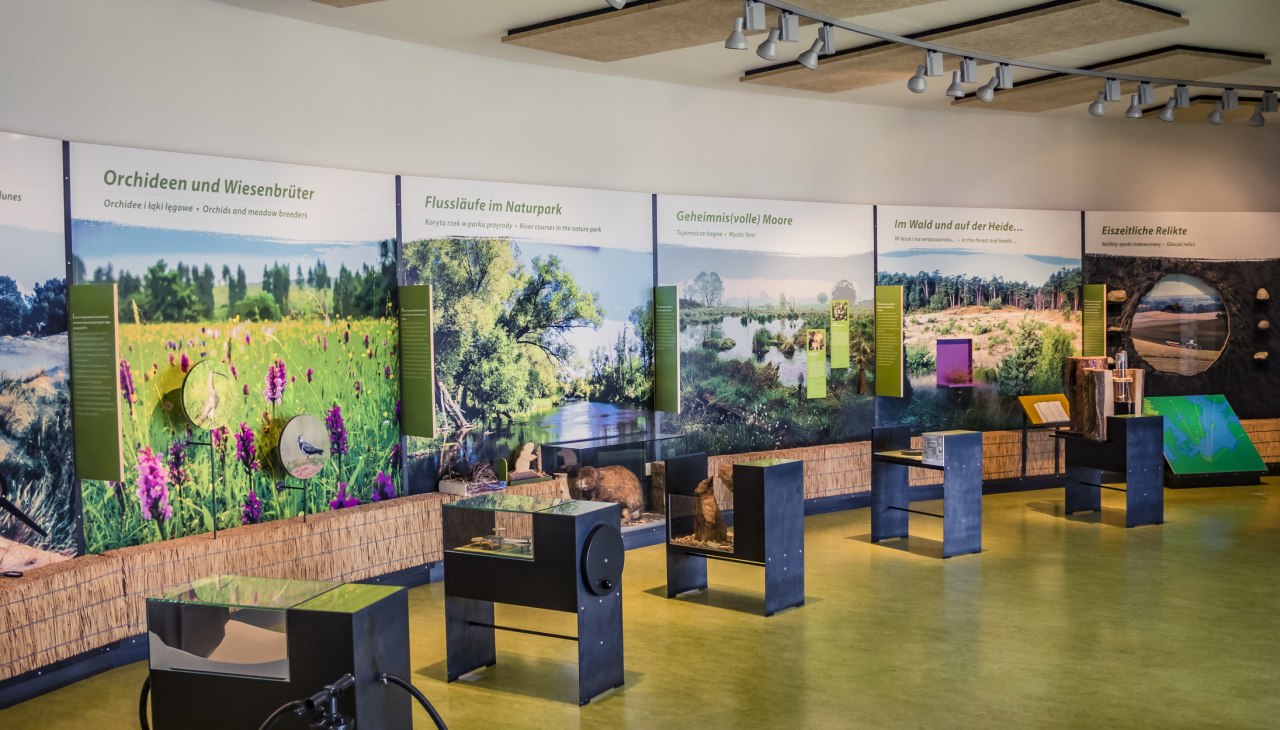 Naturpark Am Stettiner Haff - Ausstellungsräume, © tvv/Philipp Schulz Naturpark Am Stettiner Haff - Ausstellungsräume, © tvv/Philipp Schulz
