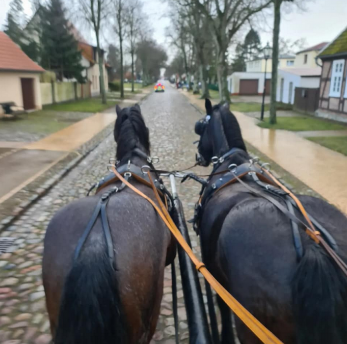 Reiterhof Enning, © Reiterhof Enning