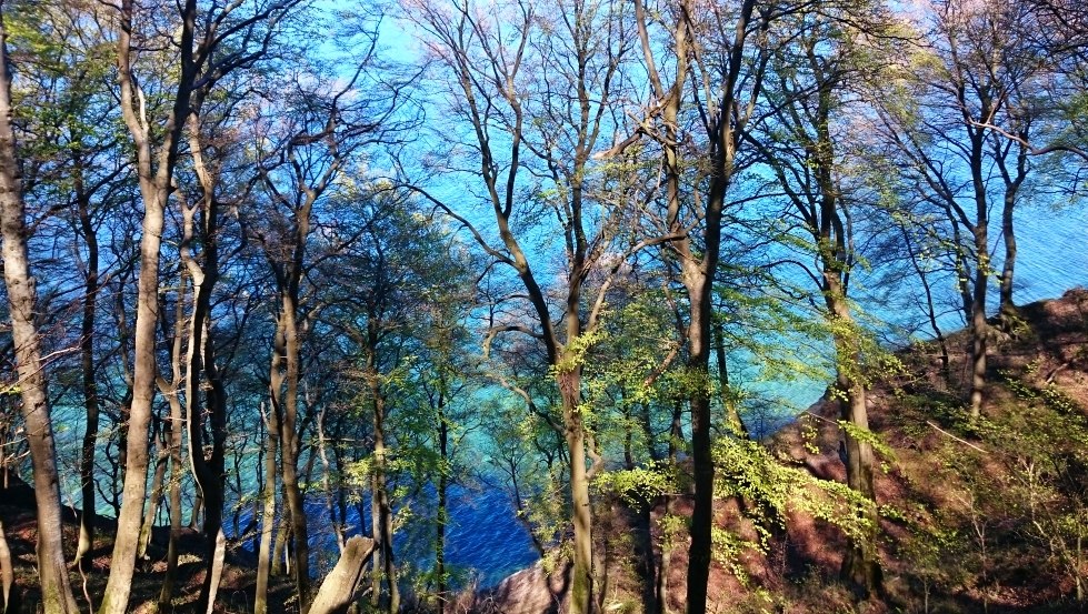 Kreideablagerungen lassen das Wasser azurblau bis smaragdgrün schimmern // © MV-T/Bodieschek Kreideablagerungen lassen das Wasser azurblau bis smaragdgrün schimmern // © MV-T/Bodieschek