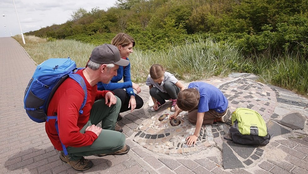 De bot van de GROTE flora & fauna // &copy; MV-T/outdoor-visions.com