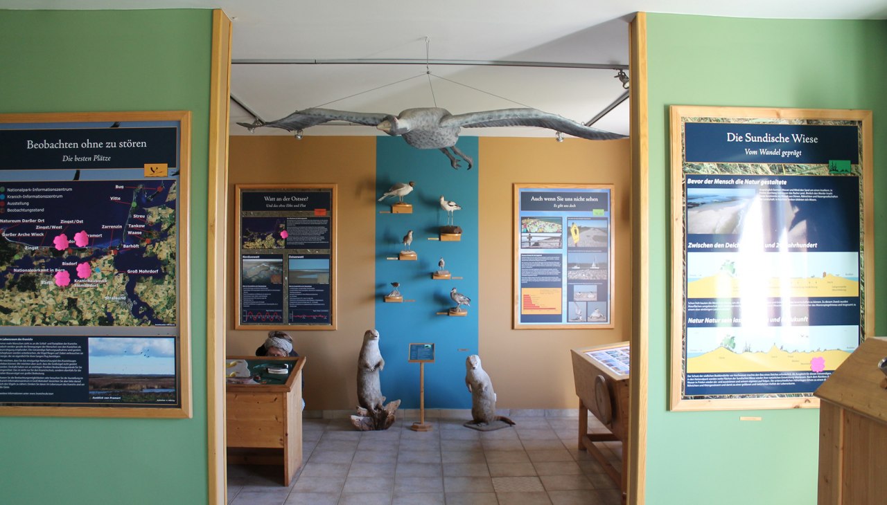 Nationalparkausstellung Sundische Wiese, © Nationalparkamt Vorpommern
