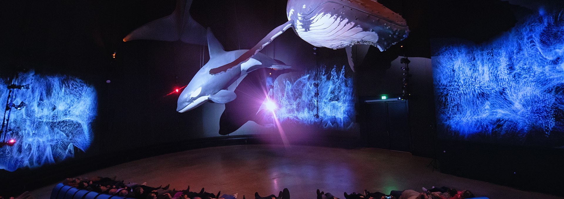 Erlebnisausstellung OZEANEUM, &copy; Anke Neumeister/Deutsches Meeresmuseum