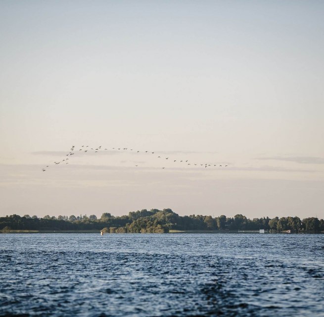 Natur erleben am Schaalsee // © MV-T/Roth Natur erleben am Schaalsee // © MV-T/Roth