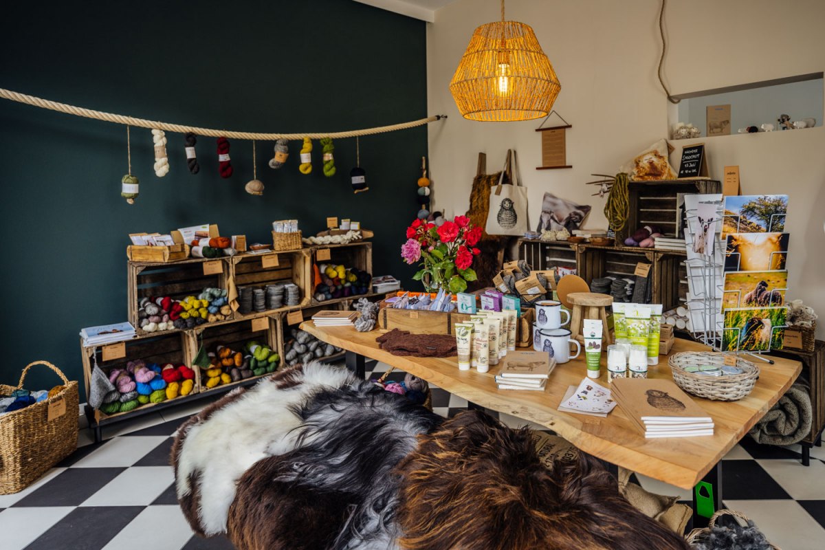 Winkel op // &copy; calling sheep