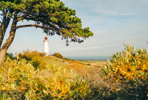 Ein Postartenmotiv schlechthin: Der Leuchtturm Dornbusch ist das Wahrzeichen der Insel Hiddensee. // © MV-T/Petermann Ein Postartenmotiv schlechthin: Der Leuchtturm Dornbusch ist das Wahrzeichen der Insel Hiddensee. // © MV-T/Petermann