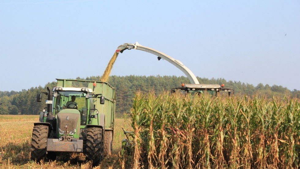 Der Agrarbetrieb ist spezialisiert auf Feldfrüchte, wie Winterraps- und weizen, Mais und Zuckerrüben // © Peeneland Agrar GmbH Der Agrarbetrieb ist spezialisiert auf Feldfrüchte, wie Winterraps- und weizen, Mais und Zuckerrüben // © Peeneland Agrar GmbH