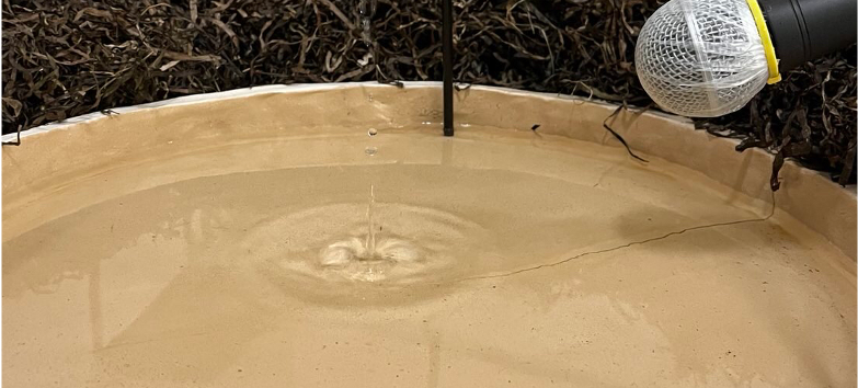 © Jugendkunstschule Vorpommern-Rügen e.V.