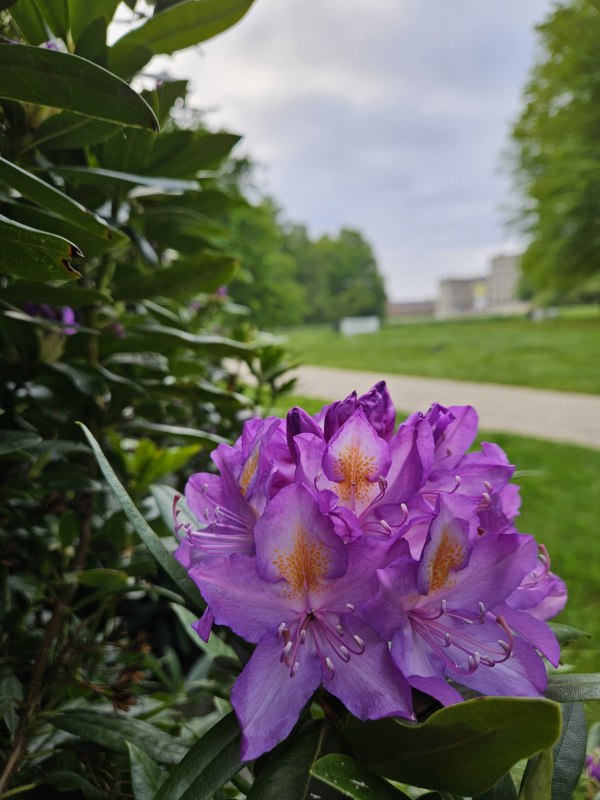 Blick auf das Schloss Ludwigslust Foto H Wegner, &copy; Henrik Wegner