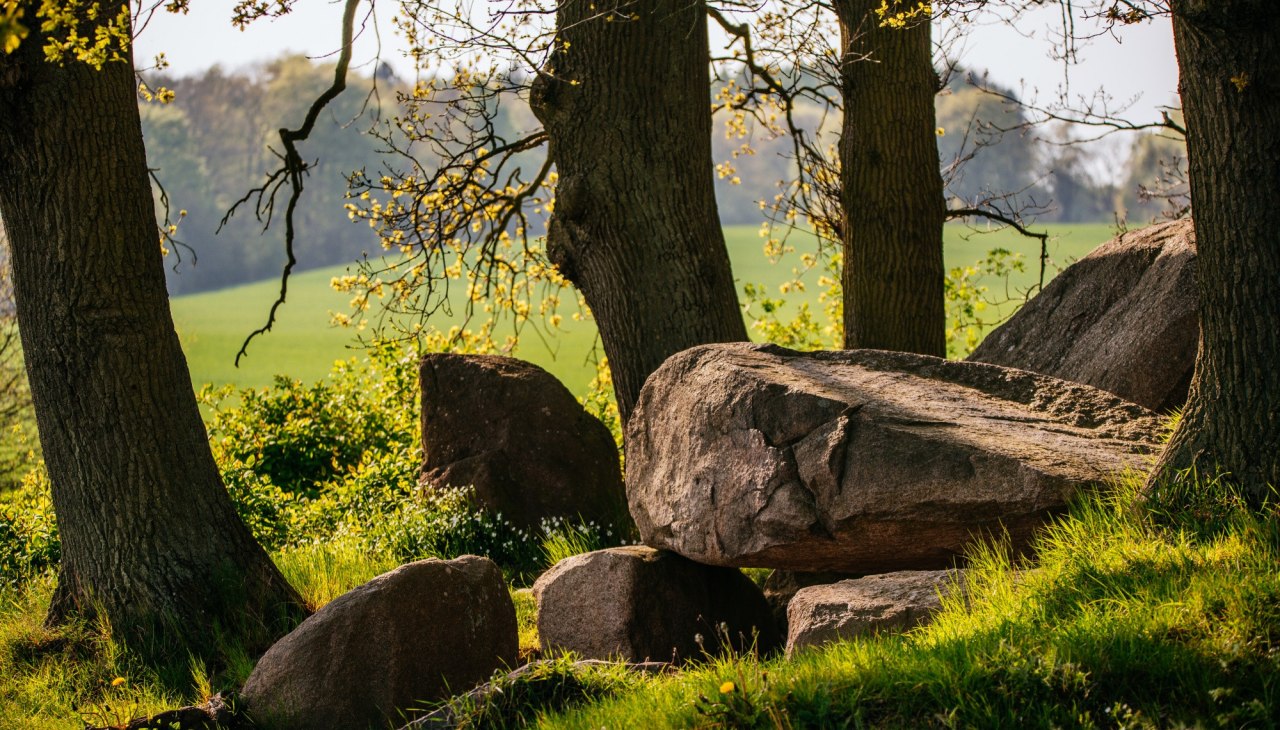 Wanderung: Giganten der Steinzeit - Die Häuser der Toten, © Binzer Bucht Tourismus