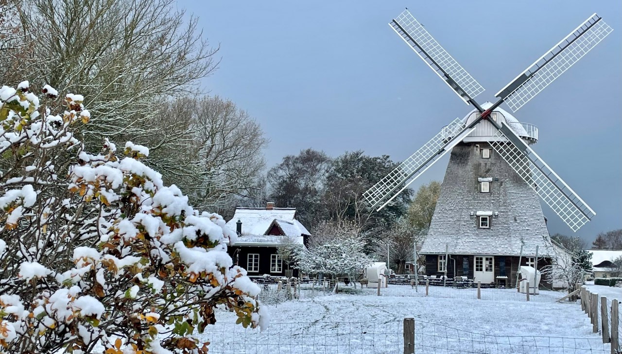 Mühle im Winter, © Kurverwaltung Ahrenshoop Mühle im Winter, © Kurverwaltung Ahrenshoop