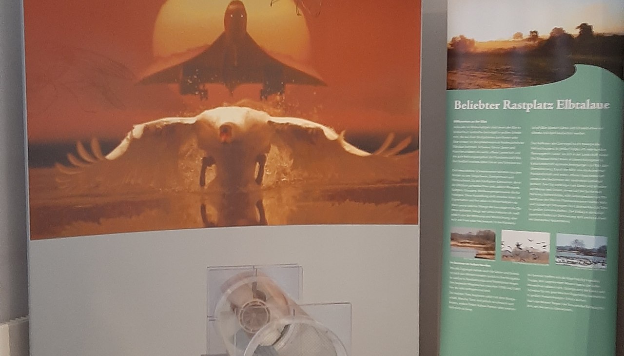 interaktive Ausstellung, &copy; Biosphaerium Elbtalaue