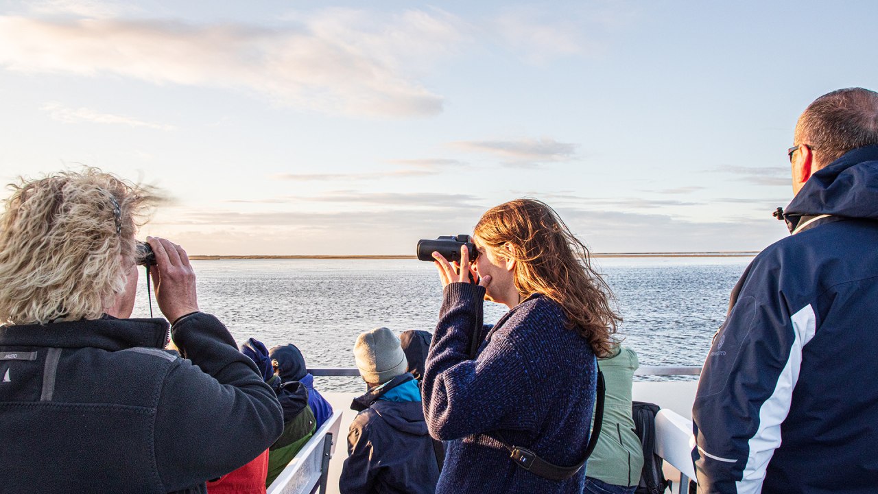 © Weiße Flotte GmbH © Weiße Flotte GmbH