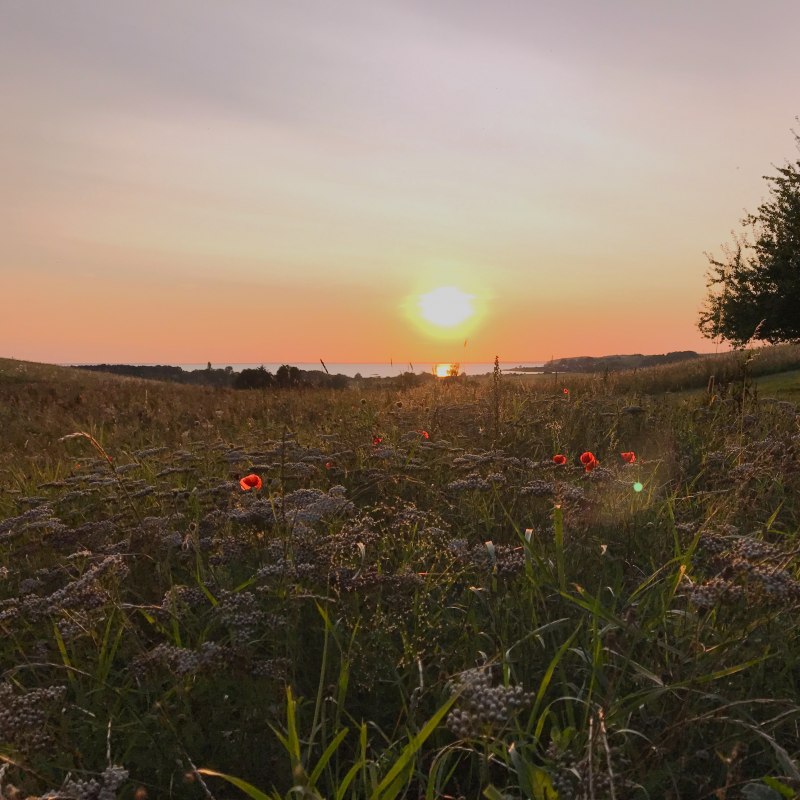 &copy; Nico Offermann