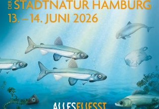 Plakat zum Langen Tag der StadtNatur // &copy; Loki Schmidt Stiftung