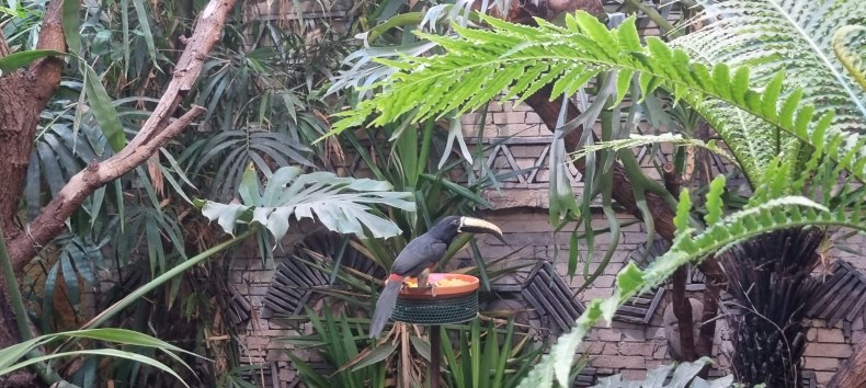 © Zoo Stralsund © Zoo Stralsund