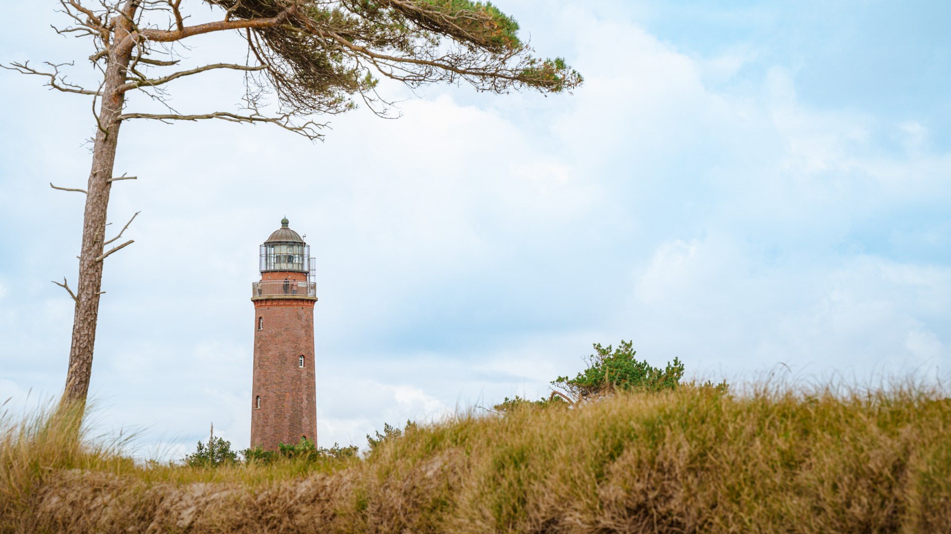 Einen grandiosen Ausblick hat man vom Leuchtturm auf die Ostsee und das Naturschutzgebiet. // © MV-T/Tiemann Einen grandiosen Ausblick hat man vom Leuchtturm auf die Ostsee und das Naturschutzgebiet. // © MV-T/Tiemann
