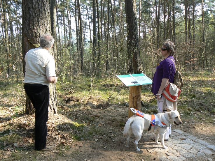 &copy; Nationalparkamt M&uuml;ritz/Kaiser