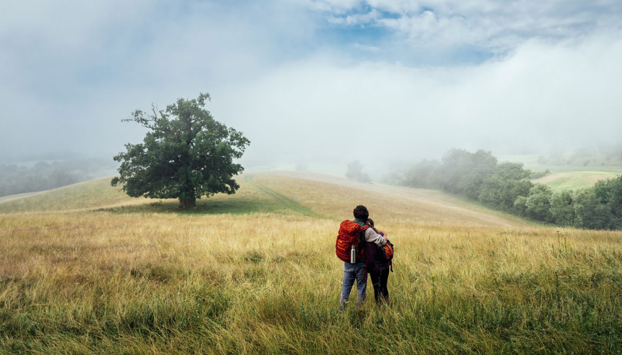 wandern-in-der-naehe-vom-roetelberg, © TMV/Gänsicke wandern-in-der-naehe-vom-roetelberg, © TMV/Gänsicke