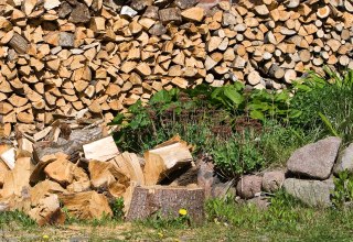 © ostsee-kuesenbilder.de © ostsee-kuesenbilder.de