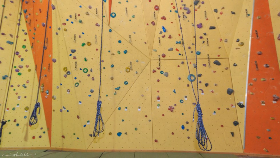 Höchste Kletterwand in Mecklenburg-Vorpommern // © TFZ Tessin Höchste Kletterwand in Mecklenburg-Vorpommern // © TFZ Tessin