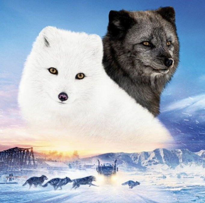 Bildschirmfoto 2026-02-04 um 14.31.57, &copy; Basiskulturfabrik GmbH