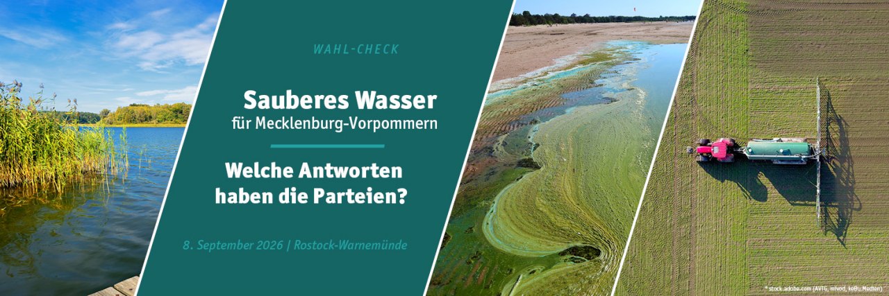 Einladung zum Wahl-Check "Sauberes Wasser" // © stock.adobe.com _AVTG, mivod, keBu.Medien Einladung zum Wahl-Check "Sauberes Wasser" // © stock.adobe.com _AVTG, mivod, keBu.Medien