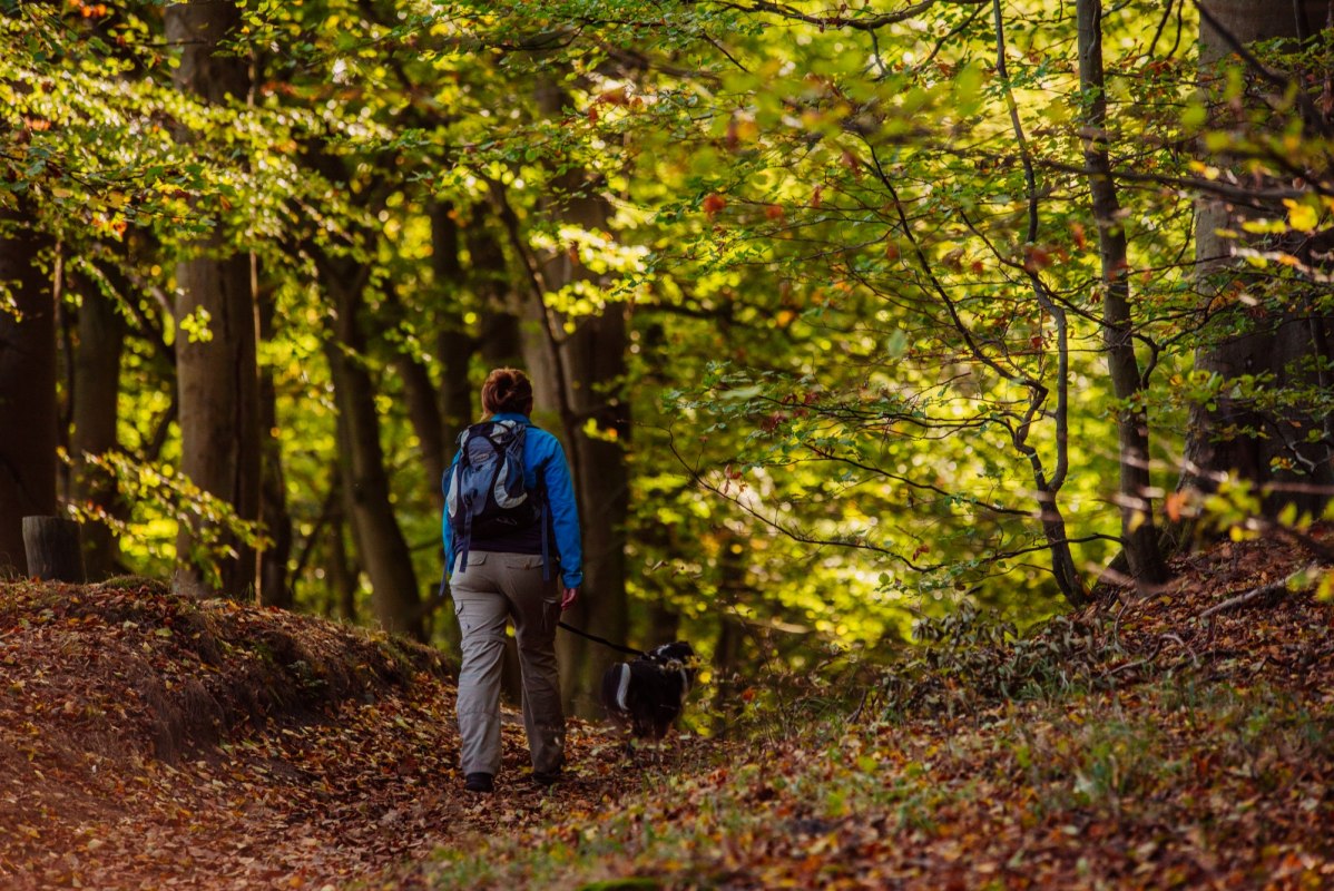 &copy; Binzer Bucht Tourismus