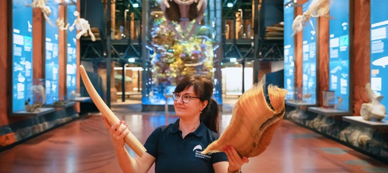 Eine Frau steht unter einem h&auml;ngenden Walskelett in einer Kirchenhalle und h&auml;lt Walbarten in den H&auml;nden, &copy; Anke Neumeister/Deutsches Meeresmuseum