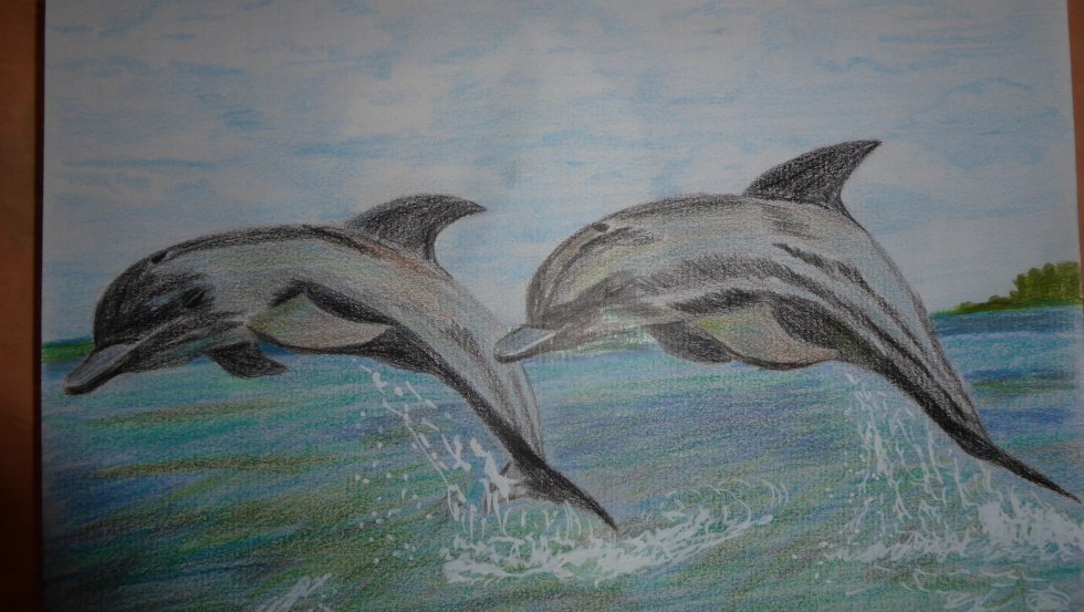 Delphine klein, &copy; Waltraud B&uuml;ttner