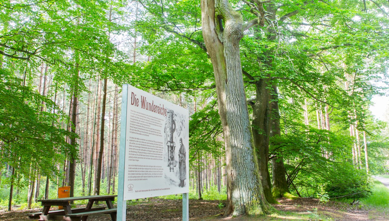 _AG_2914, © Arndt Gläser _AG_2914, © Arndt Gläser