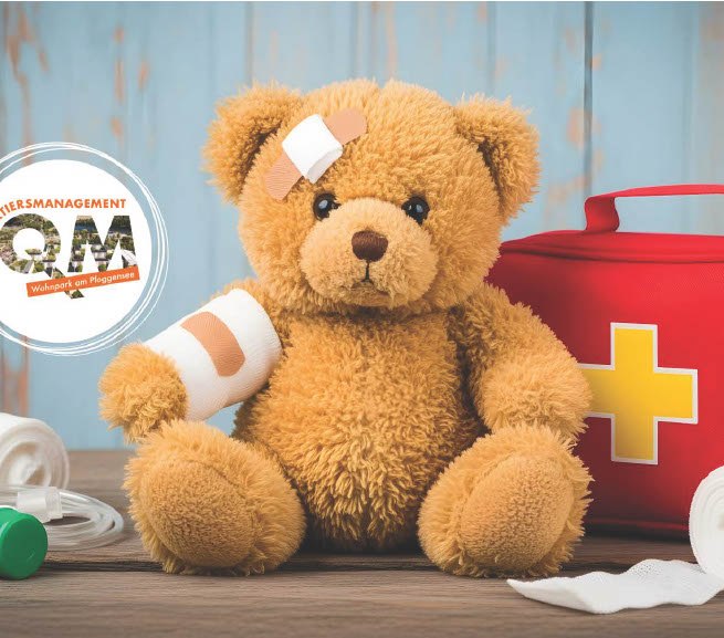 Kindernotfallkurs // &copy; QM