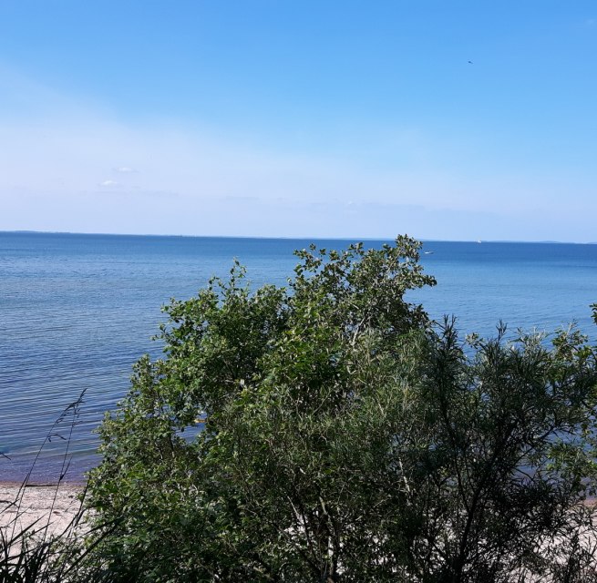 Steine und Muscheln sammeln und dabei einen tollen Blick auf die Insel R&uuml;gen // &copy; tvv-michaelis