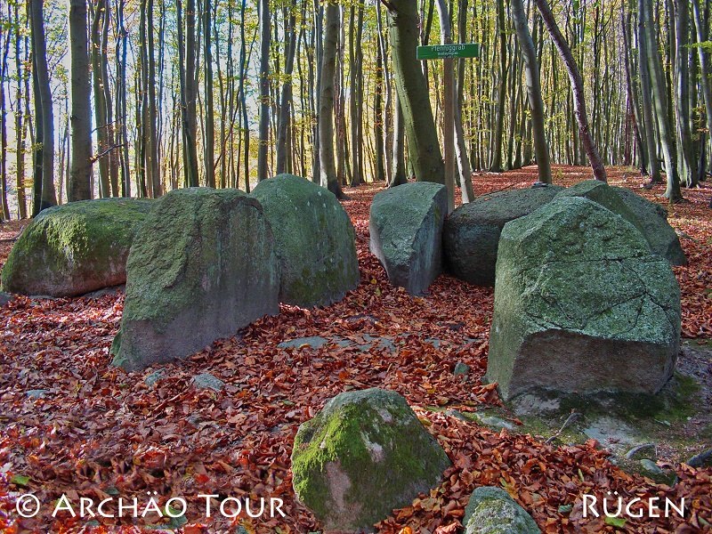versteckt in den Buchenwäldern der Stubnitz liegt das Großsteingrab "Pfennigkasten" // © Archäo Tour Rügen versteckt in den Buchenwäldern der Stubnitz liegt das Großsteingrab "Pfennigkasten" // © Archäo Tour Rügen