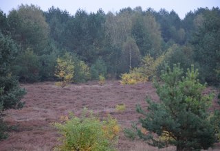 &copy; Martina Fuhrmann