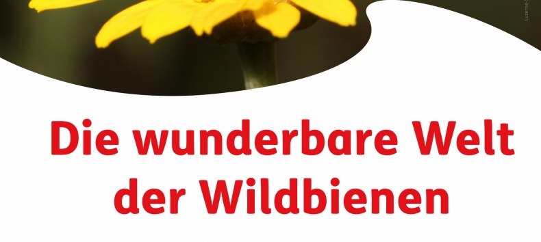 &copy; Johann-Christoph Kornmilch