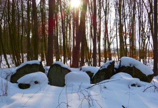 &copy; Arch&auml;o Tour R&uuml;gen