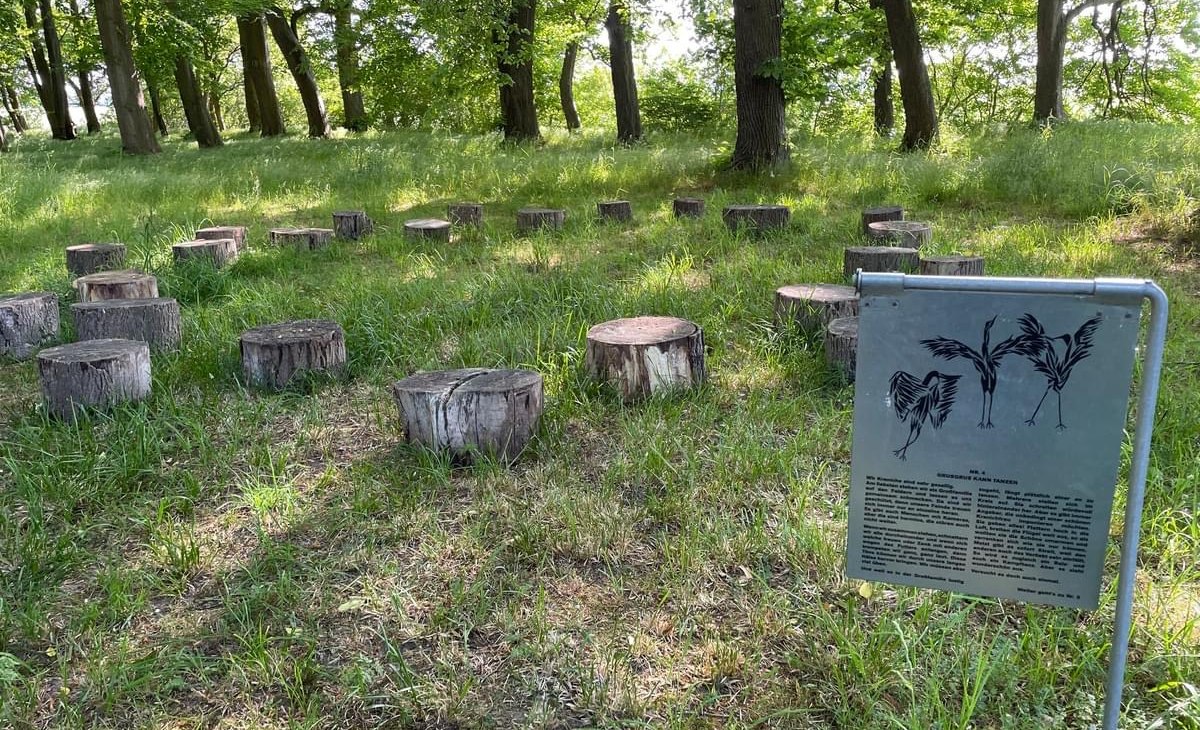 Station 4 Kranich Pfad, © TZ Südliche Boddenküste Station 4 Kranich Pfad, © TZ Südliche Boddenküste