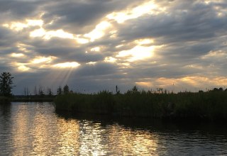 Abendstimmung an der Peene // &copy; Mecklenburgische Seenplatte