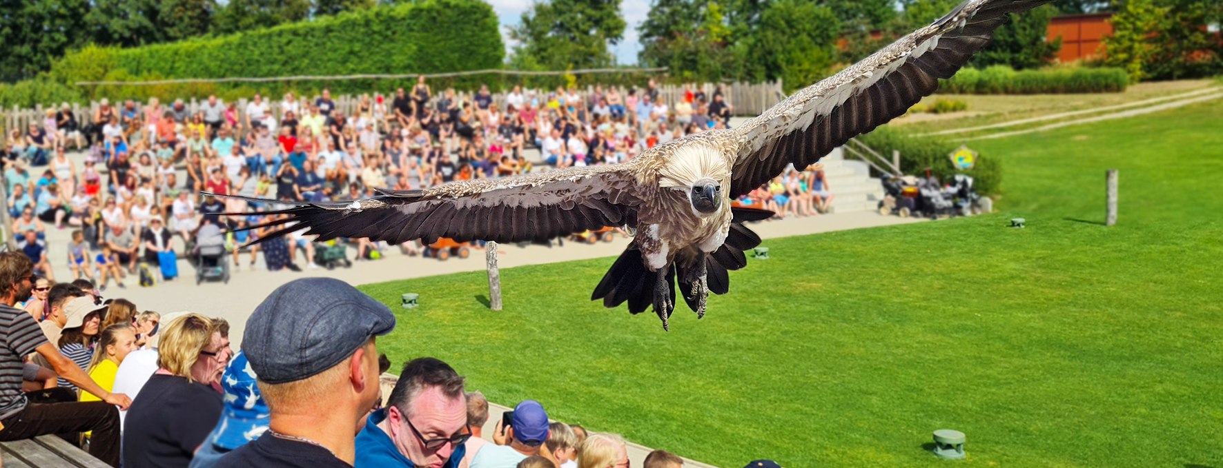 &copy; Vogelpark Marlow