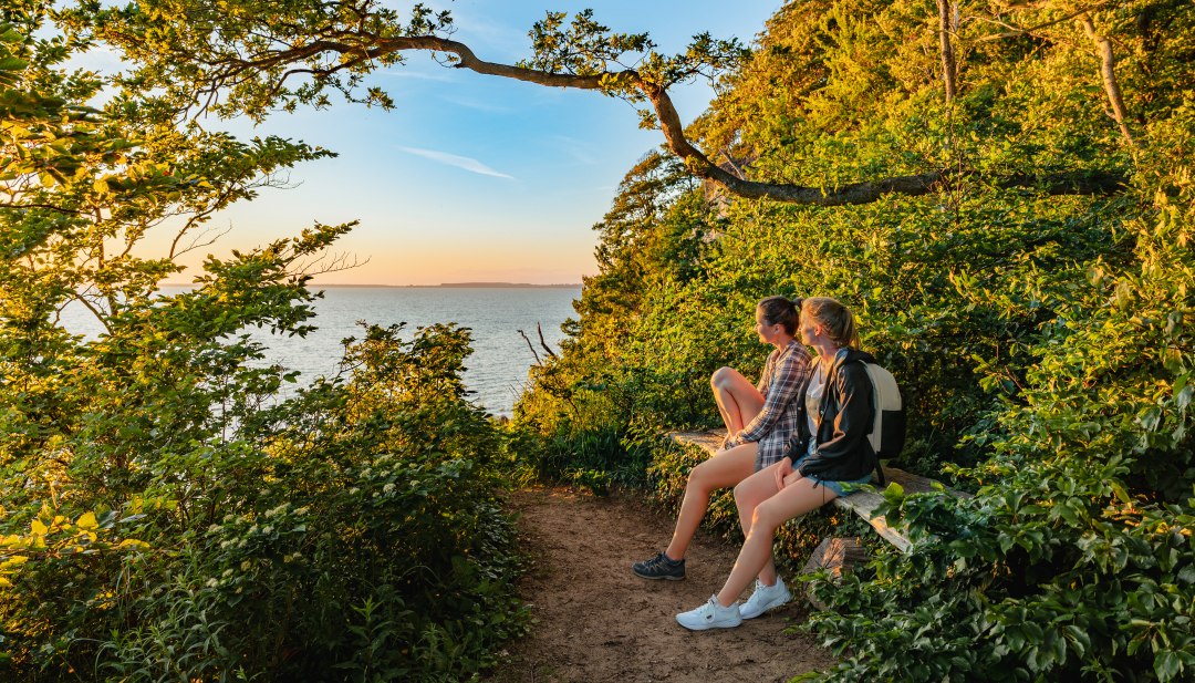 Zwei Frauen sitzen im Wald an der Steilküste und schauen von oben auf den Bodden bei Sonnenuntergang. // Wer noch etwas Zeit mitbringt: Sollte unbedingt einen Zwischenstopp an der Steilküste von Lietzow einplanen. Die Aussicht über den Bodden im Licht der untergehenden Sonne ist sagenhaft. // © MV-T/Tiemann Zwei Frauen sitzen im Wald an der Steilküste und schauen von oben auf den Bodden bei Sonnenuntergang.
