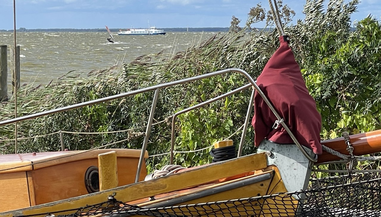 Vereinshafen am Saaler Bodden, © TZ Südliche Boddenküste