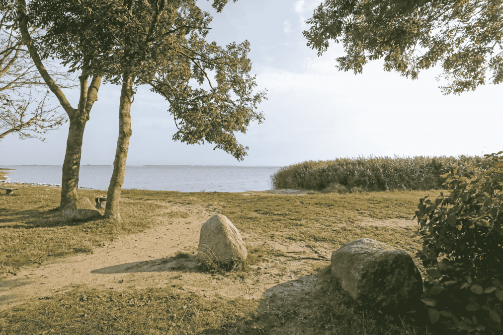 Surfspot Tremt, © TMV/Gohlke Surfspot Tremt, © TMV/Gohlke