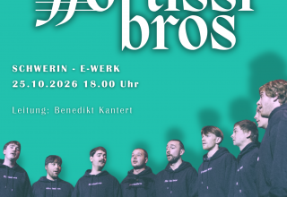 Plakatmotiv für das Konzert am 25.10.2026, 18 Uhr im E-Werk in Schwerin // © Konstantin Pohl Plakatmotiv für das Konzert am 25.10.2026, 18 Uhr im E-Werk in Schwerin // © Konstantin Pohl
