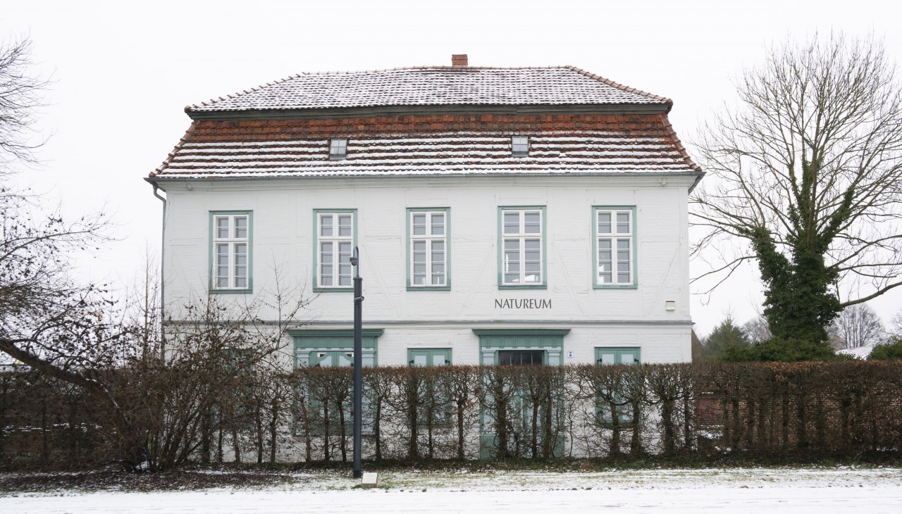 Natureum Ludwigslust, &copy; Naturforschende Gesellschaft Mecklenburg e.V.