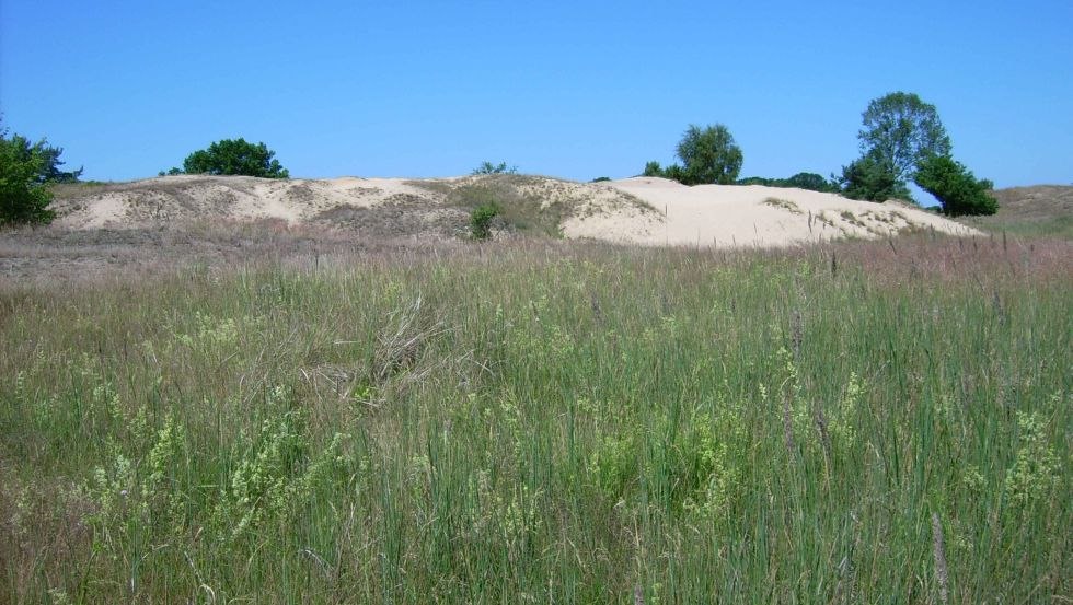 Duinen bij Altwarp in het district Vorpommern // © Wanderagentur HARIDO Duinen bij Altwarp in het district Vorpommern // © Wanderagentur HARIDO