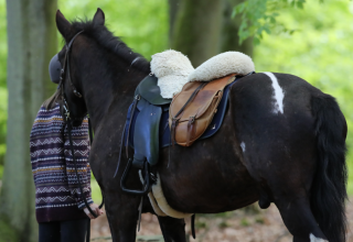 Det kan varmt anbefales at stige af hesten et øjeblik og nyde naturen, når man rider på vandreture i Mecklenburg-Vorpommern. // © MV-T/Pantel Det kan varmt anbefales at stige af hesten et øjeblik og nyde naturen, når man rider på vandreture i Mecklenburg-Vorpommern. // © MV-T/Pantel